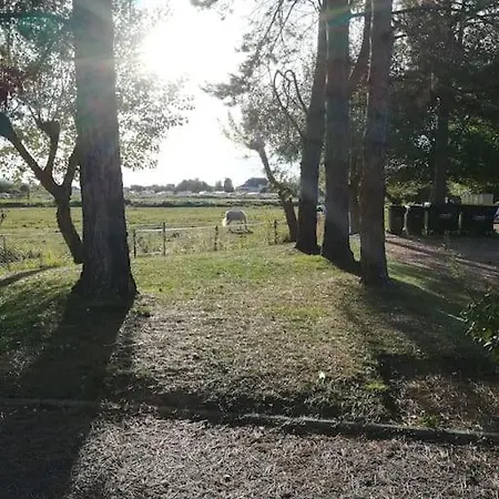 L'appart De A 250m De La Plage *